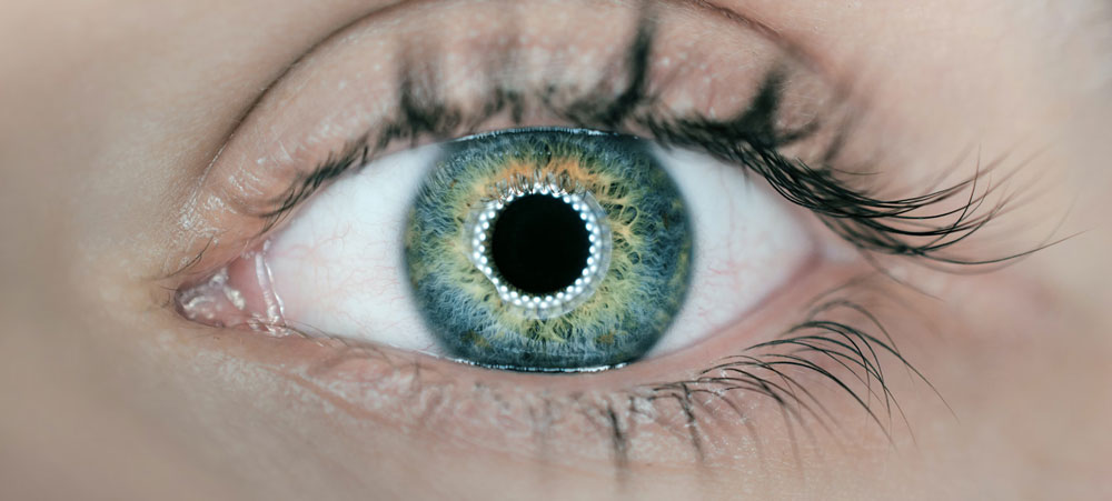 Ein Blick sagt mehr als tausend Worte: Eye Tracking im Webdesign 1